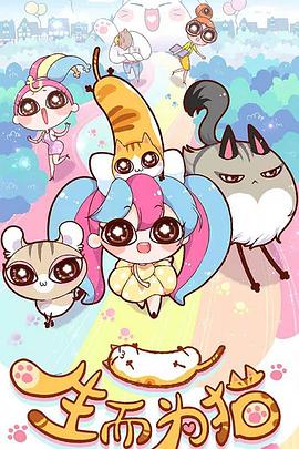 沈阳正规的网站优化推广